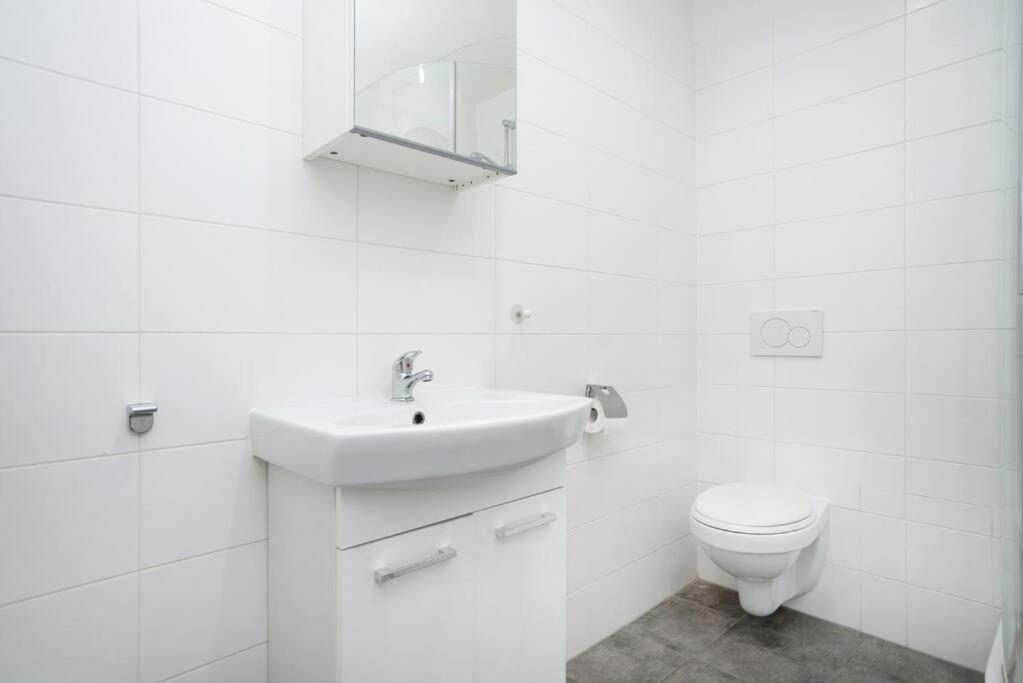 Bright, Spacious Apartment In The Historic Centre プラハ エクステリア 写真